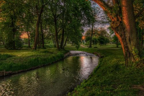 a stream in a park with trees and grass at Suwałki Centrum Studio in Suwałki