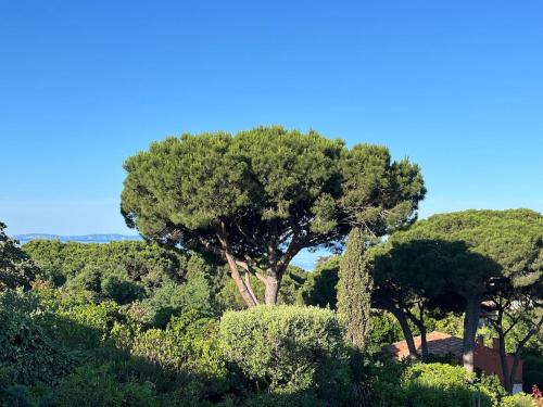 Mas à la Plage- 2 bedrooms, Terrace, Parking