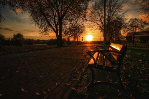 a park bench with the sunset in the background at Suwałki Centrum Studio in Suwałki