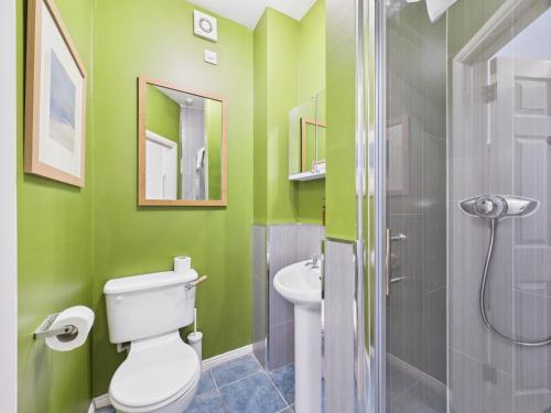 a bathroom with green walls and a toilet and a shower at Tollymore Forest family house Mourne Mountains in Bryansford
