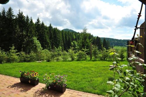 Příroda nedaleko apartmánu