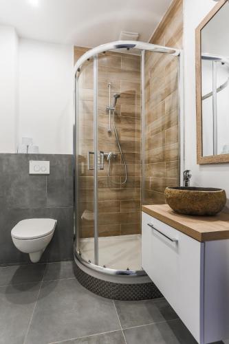 a bathroom with a shower with a toilet and a sink at Simply Modern Apartments in Toruń