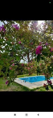 Photo de la galerie de l'établissement Villa avec piscine au premier étage, à Nyons