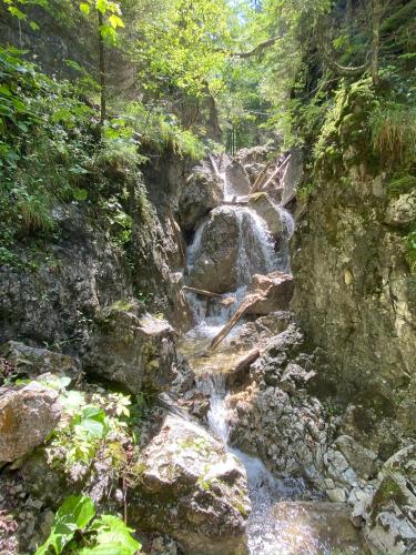 a waterfall in a forest with rocks and trees at Penzión Pod Guglom in Mlynky 