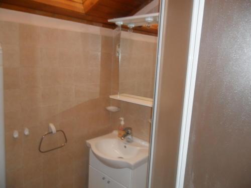 y baño pequeño con lavabo y ducha. en Danko Apartments, en Brna