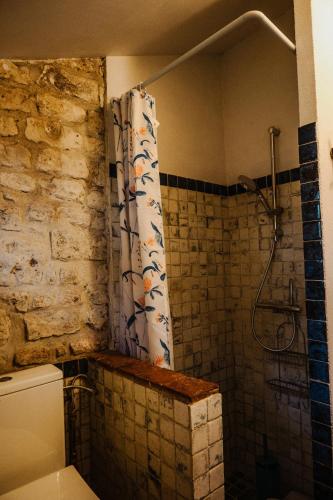 a bathroom with a shower curtain and a toilet at Vakantiewoning BienViennue in Marcilly-sur-Vienne