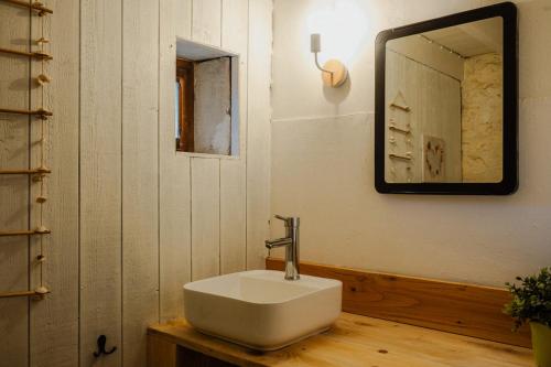 a bathroom with a sink and a mirror on the wall at Vakantiewoning BienViennue in Marcilly-sur-Vienne