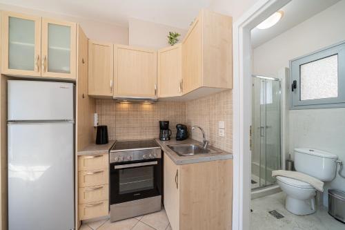 Il comprend une petite cuisine avec un lavabo et des toilettes. dans l'établissement AGAVE suite, à Argostóli