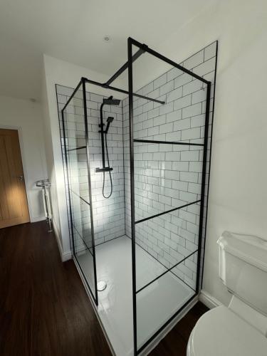 una ducha de cristal en un baño con inodoro en Spacious Victorian Birkdale Apartment with Garden, en Southport