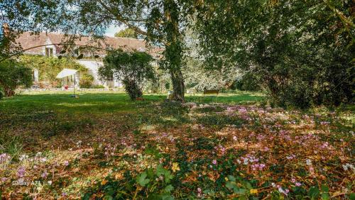 a field of flowers in front of a house at Vakantiewoning BienViennue in Marcilly-sur-Vienne