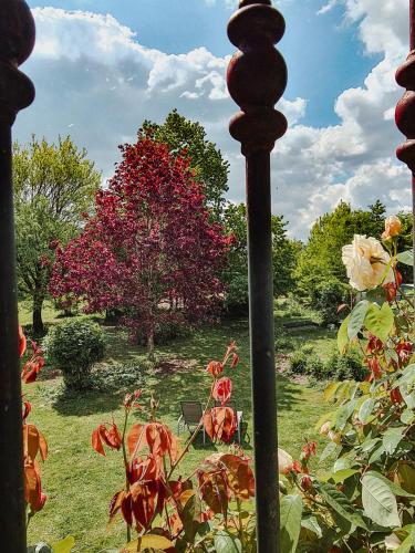 a view of a garden from a fence with flowers at Vakantiewoning BienViennue in Marcilly-sur-Vienne