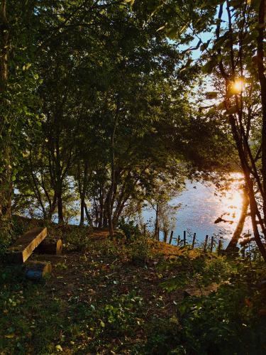 a park with a bench next to a body of water at Vakantiewoning BienViennue in Marcilly-sur-Vienne