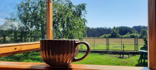 Fotografie z fotogalerie ubytování Domek Letniskowy Łętowo v destinaci Łętowo