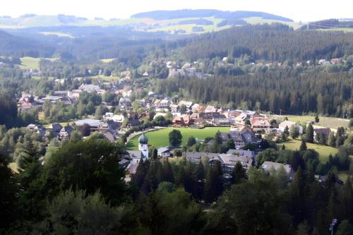 Příroda nedaleko apartmánu