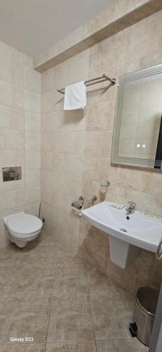 a bathroom with a sink and a toilet at Guest House Saint Petka in Veliko Tŭrnovo