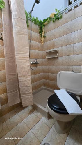a bathroom with a toilet and a shower at Kassiopi Apartmets4you III in Kassiopi