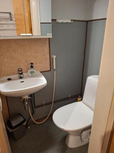 Un baño con un inodoro blanco y un lavabo. en Tuulanmajoitus, en Mänttä