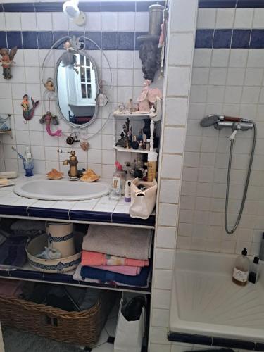 une salle de bain avec un lavabo et un miroir dans l'établissement Appartement village Jourdain, à Paris