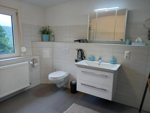 a bathroom with a toilet and a sink and a mirror at Haus S.E.E. in Marienthal