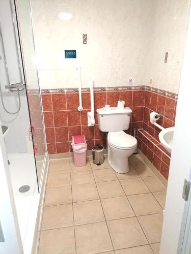 a bathroom with a toilet and a shower and a sink at The Evenhill in Canterbury