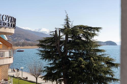 a large pine tree next to a body of water at Villa Dea in Ohrid