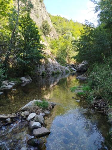 a river with rocks in the middle of a forest at Casa Bauxells in Sahorre
