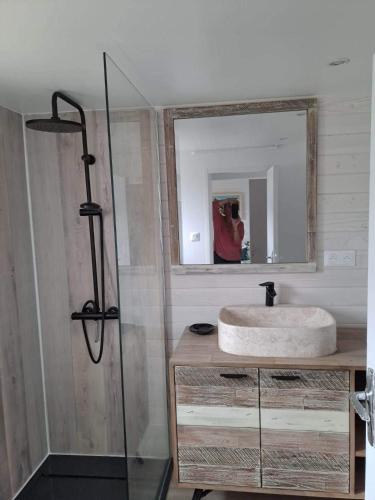 une salle de bain avec un lavabo et un miroir dans l'établissement Gruissan chalet authentique 50m de la plage, à Gruissan