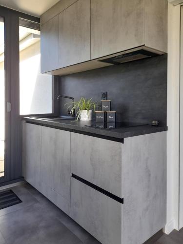 une cuisine avec des placards en acier inoxydable et un comptoir dans l'établissement Suite de luxe avec Spa, à Saint-Médard-en-Jalles