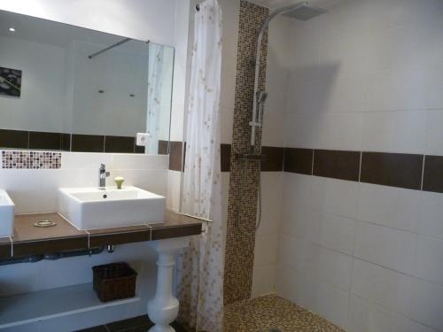 une salle de bain avec un lavabo et une douche dans l'établissement Appartement Castagniers, à Castagniers
