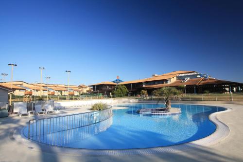 a large swimming pool with a palm tree in the middle at Le Village Vacances de Mimizan Plage in Mimizan-Plage
