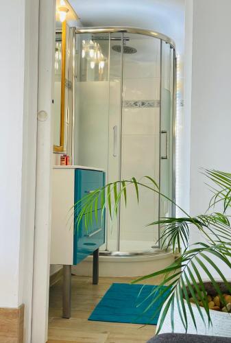 La salle de bains est pourvue d'une douche et d'un tapis bleu. dans l'établissement Beach Villa Des Sablettes, à La Seyne-sur-Mer