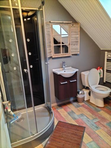 une salle de bain avec une douche, des toilettes et un lavabo dans l'établissement Joli Cocon,5 min du zoo,au calme,jeux pour enfants, à Châteauvieux