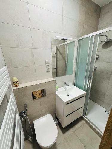 a bathroom with a toilet and a sink and a shower at Apartment with Workspace and TV in Nový Lískovec