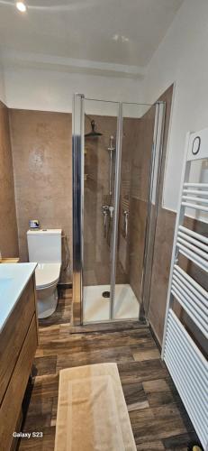 un bagno con doccia e WC di Maison Quenza Corse-du-Sud a Quenza