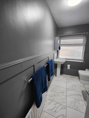 a bathroom with a toilet and a sink and blue towels at Teach Baile í nDún Geimhin in Dungiven