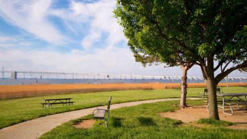a park with benches and a tree next to the beach at Annapolis Charm Waterfront Getaway Near USNA - FISH & CRAB from your PRIVATE PIER! in Annapolis