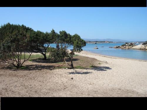 a beach with trees on the shore of the water at Casa Marina Maria in Murta Maria