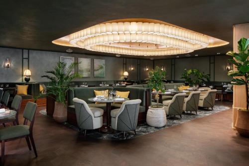 Montcalm Mayfair, Autograph Collection photo 23