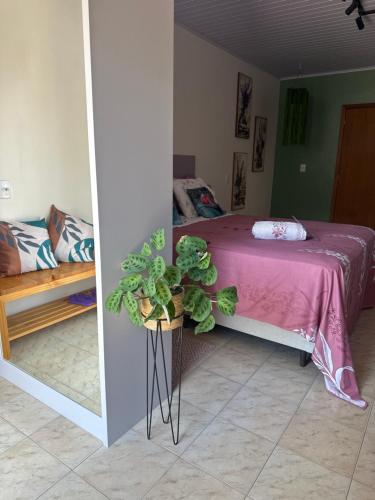 a bedroom with a bed and a plant on a table at La Vita studio Lavanda in Nova Veneza