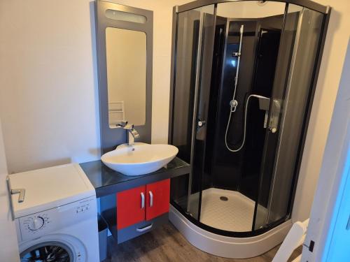 La salle de bains est pourvue d'un lavabo, d'une douche et d'un lave-linge. dans l'établissement Plage et terrasse à vos pieds, à Perros-Guirec