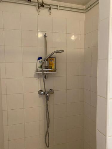 une douche avec pommeau de douche dans une salle de bain dans l'établissement La Solangette, petite maison confortable et calme, à Bleigny-le-Carreau
