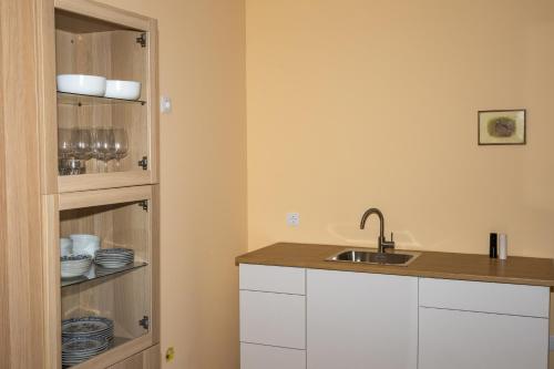 a kitchen with a sink and a shelf with dishes at Casa de Vilarinho in Vilarinho de Cotas