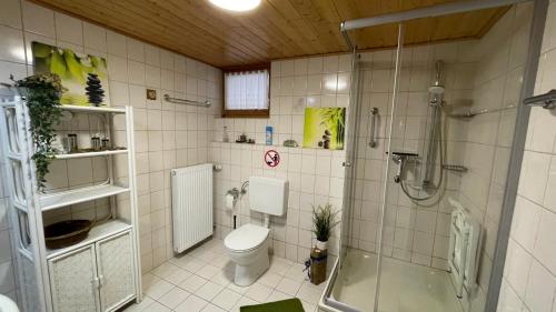 a bathroom with a toilet and a shower and a sink at Ferienwohnung Schwarze in Duderstadt