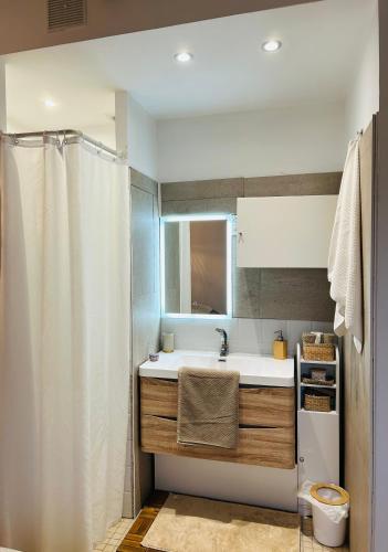 une salle de bain avec un lavabo et un rideau de douche dans l'établissement Maison au calme, à Fuveau