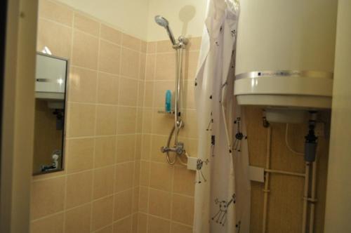 une salle de bain avec une douche avec un rideau de douche dans l'établissement Duplex Foux d'Allos 6p, aux pieds du télésiège, à Allos