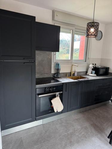 - une cuisine avec des placards noirs et un évier dans l'établissement Appartement, Cozy trois, à Toulouse