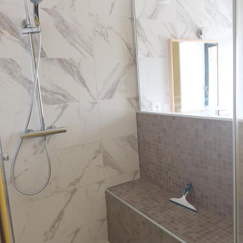 a bathroom with a shower with a sink and a mirror at Maison 14 personnes in Plozévet