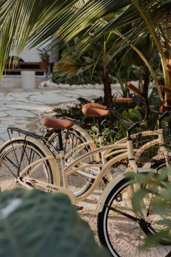 Ποδηλασία στο Sendero Hotel ή στη γύρω περιοχή