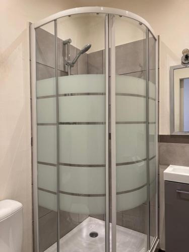 La salle de bains est pourvue d'une douche en verre et de toilettes. dans l'établissement Cozy Urban - Close to Paris CDG, à Sarcelles