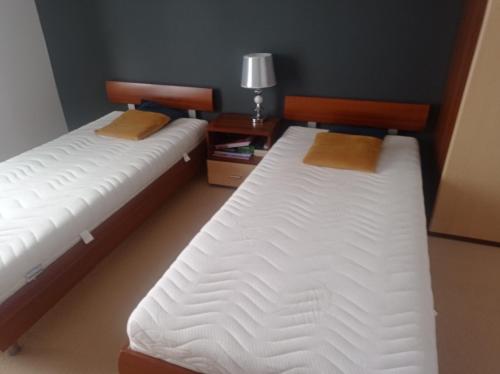 Apartament Tadeusz 2 A